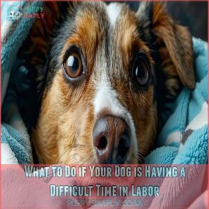 What to Do if Your Dog is Having a Difficult Time in Labor