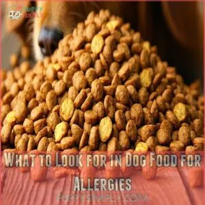 What to Look for in Dog Food for Allergies