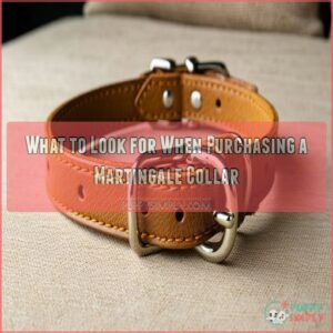 What to Look for When Purchasing a Martingale Collar