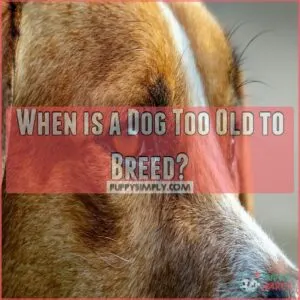 When is a Dog Too Old to Breed