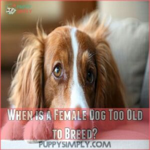 When is a Female Dog Too Old to Breed