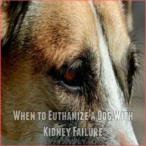 When to Euthanize a Dog With Kidney Failure