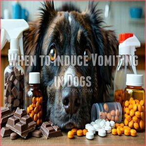 When to Induce Vomiting in Dogs