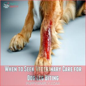 When to Seek Veterinary Care for Dog Leg Biting