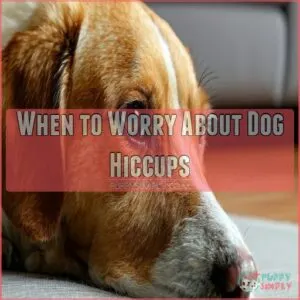 When to Worry About Dog Hiccups