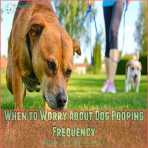 When to Worry About Dog Pooping Frequency