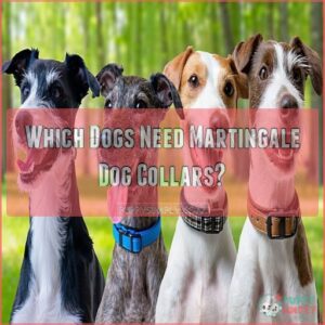 Which Dogs Need Martingale Dog Collars