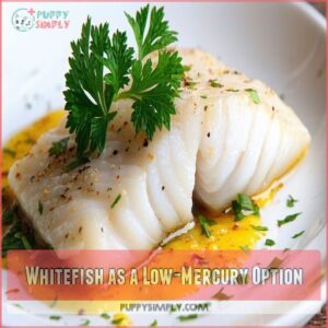 Whitefish as a Low-Mercury Option