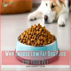 Why Choose Low Fat Dog Food for Your Pet