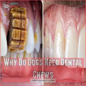 Why Do Dogs Need Dental Chews