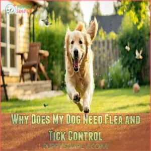 Why Does My Dog Need Flea and Tick Control