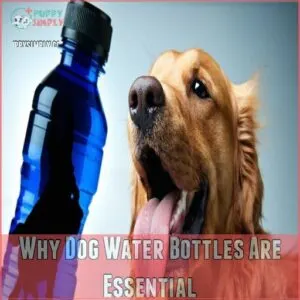 Why Dog Water Bottles Are Essential