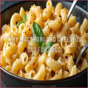 Why Macaroni and Cheese is Bad for Dogs