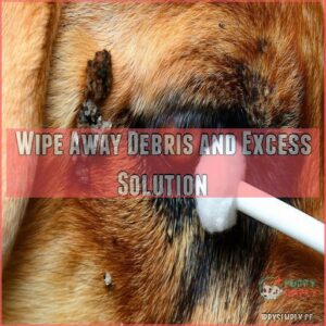 Wipe Away Debris and Excess Solution