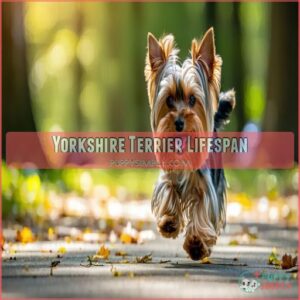 Yorkshire Terrier Lifespan