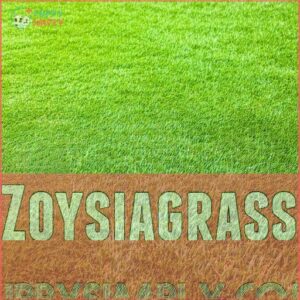 Zoysiagrass