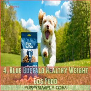 4. Blue Buffalo Healthy Weight Dog Food