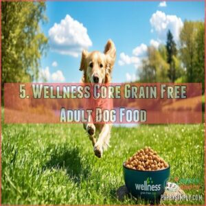 5. Wellness Core Grain Free Adult Dog Food