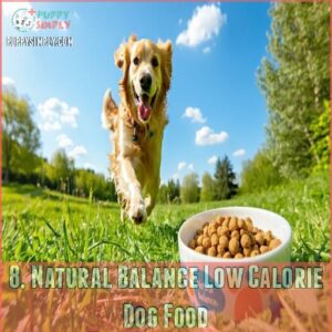 8. Natural Balance Low Calorie Dog Food