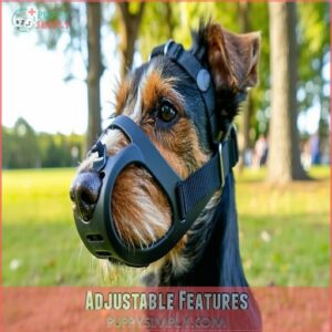 Adjustable Features