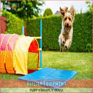 Agility Equipment