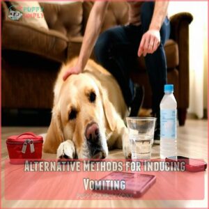 Alternative Methods for Inducing Vomiting