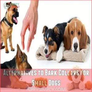 Alternatives to Bark Collars for Small Dogs