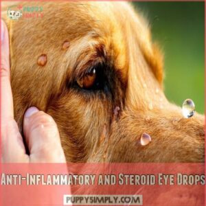 Anti-Inflammatory and Steroid Eye Drops