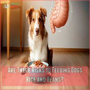 Are There Risks to Feeding Dogs Rice and Beans