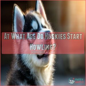 At What Age Do Huskies Start Howling