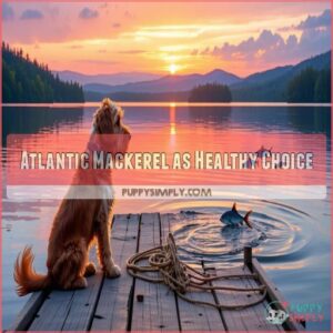 Atlantic Mackerel as Healthy Choice