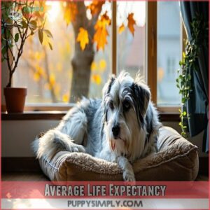 Average Life Expectancy