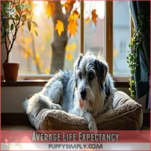 Average Life Expectancy