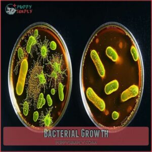 Bacterial Growth