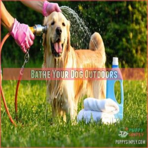 Bathe Your Dog Outdoors