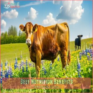 Beef Nutrition Benefits