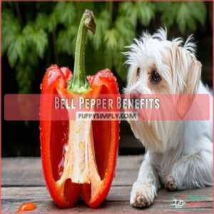 Bell Pepper Benefits