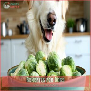 Benefits for Dogs