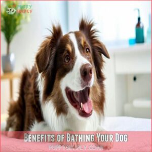 Benefits of Bathing Your Dog