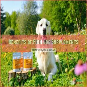 Benefits of Finn Dog Supplements