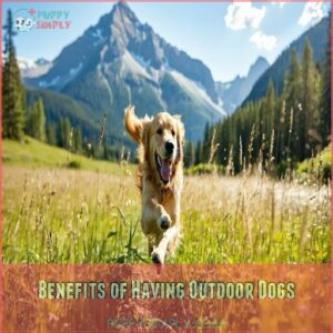 Benefits of Having Outdoor Dogs