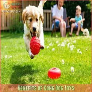 Benefits of Kong Dog Toys