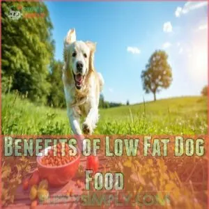 Benefits of Low Fat Dog Food