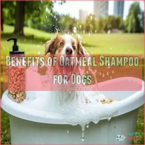 Benefits of Oatmeal Shampoo for Dogs