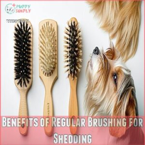 Benefits of Regular Brushing for Shedding