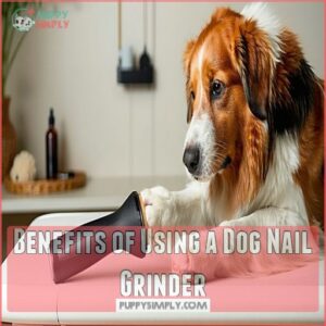 Benefits of Using a Dog Nail Grinder