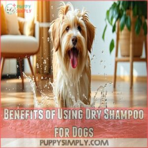 Benefits of Using Dry Shampoo for Dogs