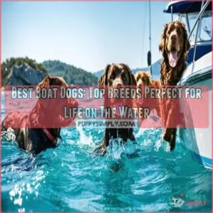 best boat dogs