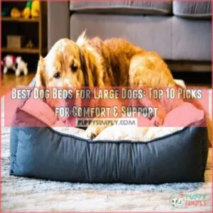 best dog beds for large dogs