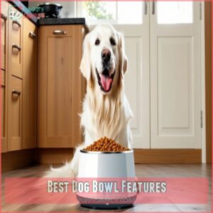 Best Dog Bowl Features